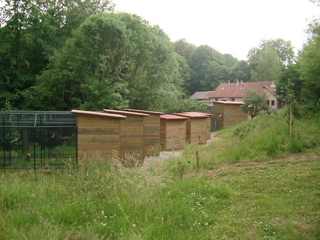 Centre de soin pour la faune sauvage protégée à Neuwiller-lès-Saverne